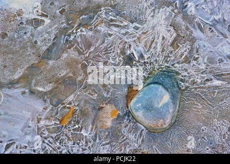 Formations de glace le long de la rivière Pine, Zion National Park, Utah, USA Banque D'Images