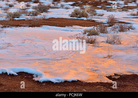 Neige fraîche dans le haut désert, Capitol Reef National Park, Utah, USA Banque D'Images