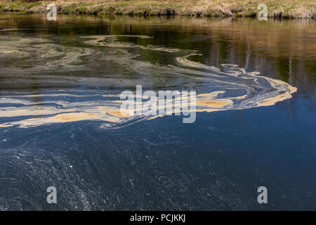 Le ruisseau Junction au début du printemps avec des tourbillons d'écume et de pollen flottant, le Grand Sudbury, Ontario, Canada Banque D'Images