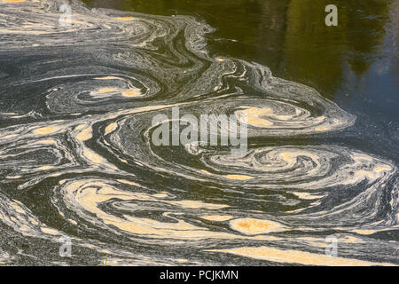 Le ruisseau Junction au début du printemps avec des tourbillons d'écume et de pollen flottant, le Grand Sudbury, Ontario, Canada Banque D'Images