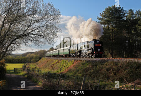 34052 chefs le long de la nouvelle extension vers à Swanage Creech bas à 2.4.17. Banque D'Images