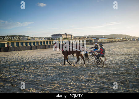L'exercice de chevaux dans les faisceaux de deux-roues des chariots ou sulky sur la plage à Deauville, Normandie, France Banque D'Images