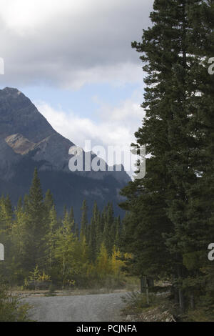 Retour sur l'Alberta road drive rustique et pittoresque route des lacs Spray à Kananaskis, près de Canmore et Banff Banque D'Images