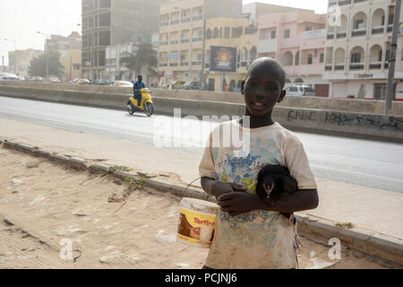 Garçon sénégalais est maintenant un poulet et le godet à Yoff, Dakar, Sénégal. Banque D'Images