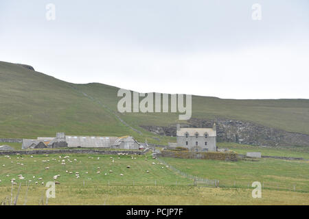 Les Îles Shetland, Écosse, Royaume-Uni Banque D'Images