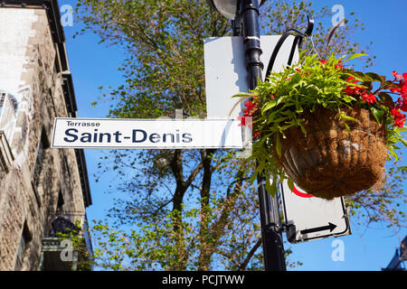 La rue Saint Denis (rue st-Denis) et un pot de fleur décoratif attaché à un lampadaire à Montréal Québec Canada Banque D'Images