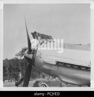Image à partir d'un album de photos relatives à II. Gruppe, Jagdgeschwader 3 : 'Simba', le lion cub mascotte de II. Gruppe, Jagdgeschwader 3, pose sur le capot du Messerschmitt Bf 109E de l'oberleutnant Franz von Werra (capitaine-adjudant de II./JG 3). Wierre au bois d'aviation, l'été 1940. Banque D'Images