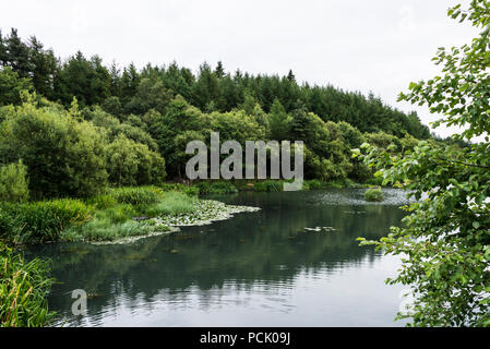 Eliburn reservoir, Livingston, en Écosse Banque D'Images