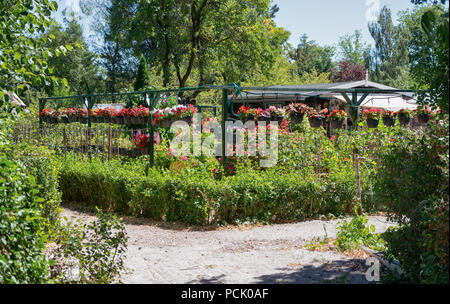 Zaandam, aux Pays-Bas, le 2 juillet 2018 : abri de jardin entouré d'un rempli de paniers suspendus du bégonia et petunia's aux Pays-Bas Banque D'Images