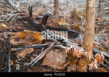 Les dégâts causés par le feu, Novembre, 2016, Gatlinburg, TN, USA, par Bill Lea/Dembinsky Assoc Photo Banque D'Images