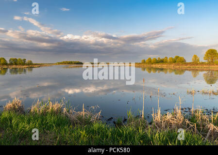 Des nuages de pluie au coucher du soleil sur Crex Meadows Wildlife Management Area, mai, WI, États-Unis d'Amérique, par Dominique Braud/Dembinsky Assoc Photo Banque D'Images