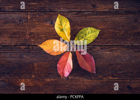 Collection en forme de fleur de feuilles d'automne sur un fond de bois. Vue de dessus de table Banque D'Images
