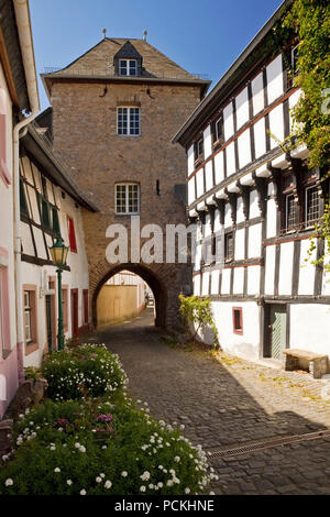 Shepherd's situé dans la vieille ville, Blankenheim, Eifel, Rhénanie du Nord-Westphalie, Allemagne Banque D'Images