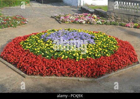Arrangement de fleurs dans un jardin Banque D'Images