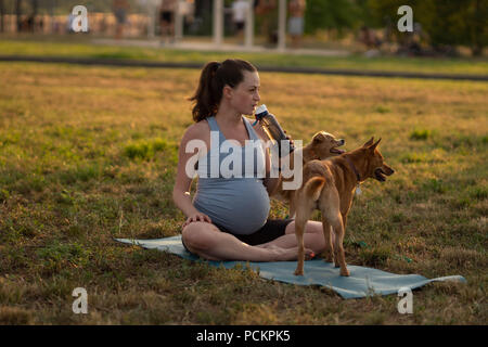 Les jeunes femmes enceintes en bonne santé avec deux chiens rouges faisant les exercices de yoga en nature dehors sur l'herbe verte sur le tapis de fitness au coucher du soleil. Professionnels de la grossesse et de la maternité concept Banque D'Images