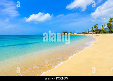 Paradise beach à Morris Bay, île tropicale des Caraïbes Antigua Banque D'Images