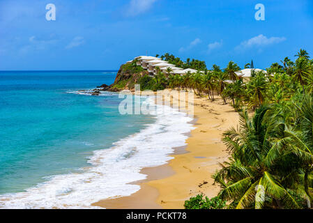 Paradise beach à Morris Bay, île tropicale des Caraïbes Antigua Banque D'Images