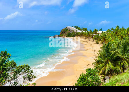 Paradise beach à Morris Bay, île tropicale des Caraïbes Antigua Banque D'Images