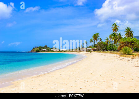 Paradise beach à Morris Bay, île tropicale des Caraïbes Antigua Banque D'Images