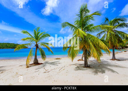 Galleon Beach sur l'île des Caraïbes Antigua, English Harbour, le paradise bay à l'île tropicale dans la mer des Caraïbes Banque D'Images