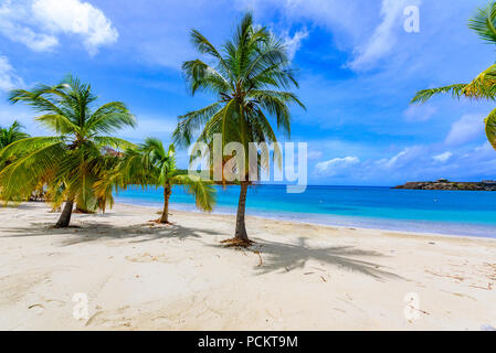 Galleon Beach sur l'île des Caraïbes Antigua, English Harbour, le paradise bay à l'île tropicale dans la mer des Caraïbes Banque D'Images