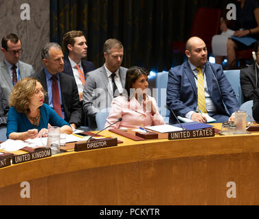 New York, États-Unis. 09Th Aug 2018. L'ambassadeur Nikki Haley représentant de USA à l'ONU assiste à la réunion du Conseil de sécurité sur la situation au Yémen au Siège des Nations Unies Crédit : Lev Radin/Pacific Press/Alamy Live News Banque D'Images