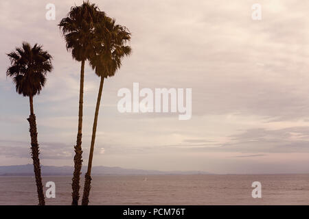 Trois palmiers sur la plage avec vue sur les montagnes et l'océan, au crépuscule, à Santa Cruz, California USA Banque D'Images