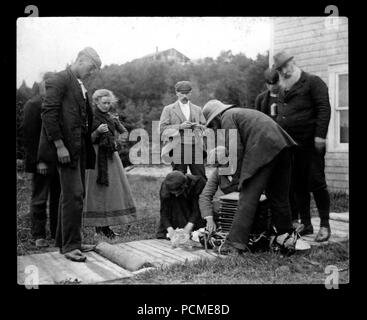 La famille d'Alexander Graham Bell Papers-Daisy essayant de réanimer noyé l'agneau. Banque D'Images