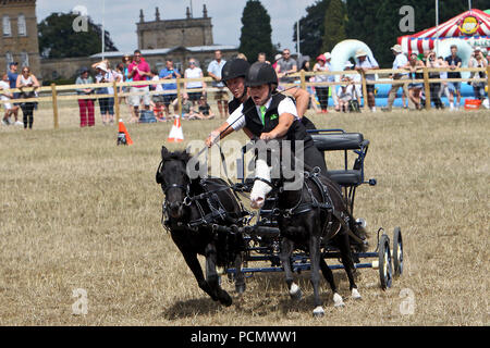 Le Palais de Blenheim, au Royaume-Uni. 3 août 2018. Gin Tonic lui donner de leur mieux dans la débandade de la conduite sur le deuxième jour de Countryfile vivre qui est sur pour quatre jours à Blenheim Palace Photo : Ric Mellis 3/8/2018 Credit : Ric Mellis/Alamy Live News Banque D'Images