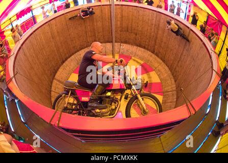 Crique de Lulworth, Dorset, UK. 3 août 2018. Mur de la mort : Crédit Finnbarr Webster/Alamy Live News Banque D'Images