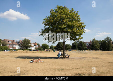 London UK. 3 août 2018. Une femme en train de bronzer sur la région aride de l'herbe sur Wimbledon Common sur une autre journée chaude dans la capitale en tant que banque affactureuse température 32C Le fait d'un panache d'espagnol et de l'Afrique chaude balayant l'air en Grande-Bretagne Crédit : amer ghazzal/Alamy Live News Banque D'Images