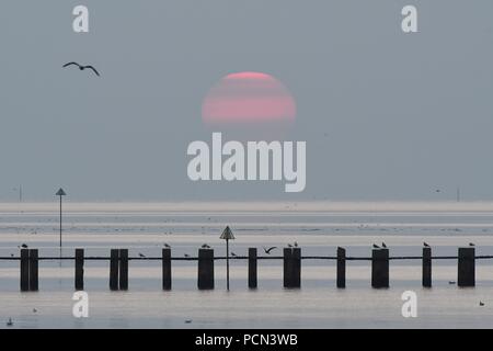 Shoeburyness, Southend-on-Sea, Essex, Royaume-Uni. 4 Août, 2018. Météo France : le lever du soleil sur la plage de l'Est, Shoeburyness Crédit : Ben Recteur/Alamy Live News Banque D'Images