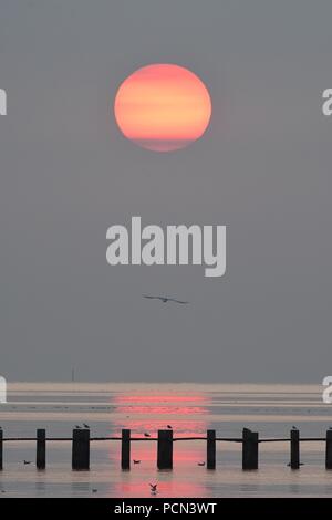 Shoeburyness, Southend-on-Sea, Essex, Royaume-Uni. 4 Août, 2018. Météo France : le lever du soleil sur la plage de l'Est, Shoeburyness Crédit : Ben Recteur/Alamy Live News Banque D'Images