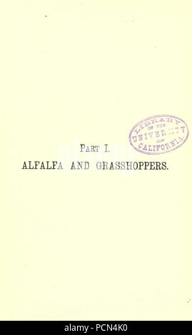 La luzerne, les sauterelles, les abeilles- leur relation Banque D'Images