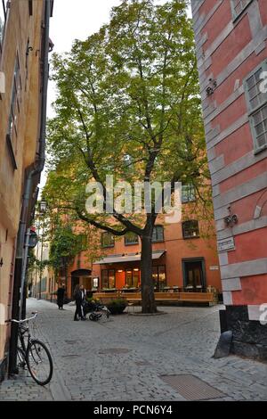 Random Street view à Gamla Stan Banque D'Images