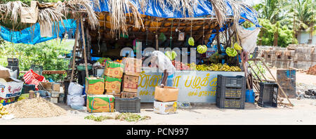 PONDICHERY, Pondichéry, Tamil Nadu, Inde - SEPTEMBRE 2017 CIRCA. Différentes scènes de vendeur de rue indienne avec les fruits et légumes frais le long de la Banque D'Images