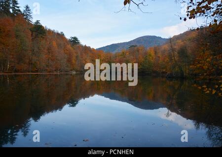 Yedigöller National Park in autumn Banque D'Images