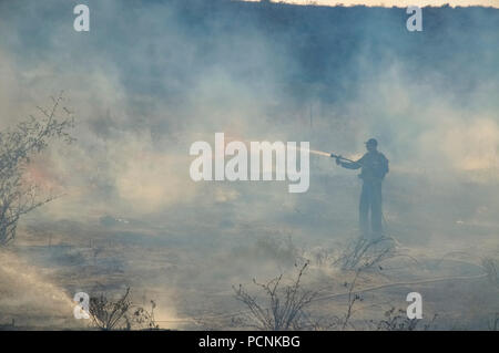 Pompiers lutter contre un incendie causé par des bombes qui ont été transportés de cerf-volant de Gaza avec un chiffon imbibé d'essence allumé, à mis le feu à un champs d'Israël Banque D'Images