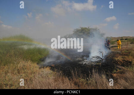 Pompiers lutter contre un incendie causé par des bombes qui ont été transportés de cerf-volant de Gaza avec un chiffon imbibé d'essence allumé, à mis le feu à un champs d'Israël Banque D'Images