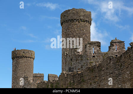 Une vue présentant certaines des tours de Conwy Castle dans le Nord du Pays de Galles contre un ciel bleu. Un homme peut être vu en photo avec un mobile ou un téléphone cellulaire. Banque D'Images