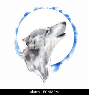 Loup . Illustration à l'aquarelle. Fond bleu Banque D'Images