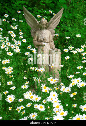 Statue Angel parmi les marguerites dans le Cimetière de Highgate, Londres Banque D'Images