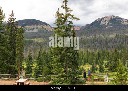 ROCKY MOUNTAIN NATIONAL PARK, CO-17 le 18 juillet : deux mâles, peut-être père et fils, dans les cours de clôture, à l'evergreen à paysage, avec les montagnes rocheuses ho Banque D'Images