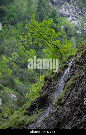 Cascade dans les montagnes de Wetterstein, Höllentalklamm, près Garmisch, Haute-Bavière, Bavière, Allemagne Banque D'Images