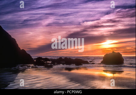 Amérique du Nord ; United States ; Oregon ; côte de l'Oregon ; marées ; le coucher du soleil. Banque D'Images