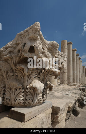 Chapiteau corinthien portant la tête de Dionysos, le dieu du vin le long du cardo reconstruit Palladius Street à l'ancienne ville romaine Scythopolis à Beit Shean Parc National, Israël Banque D'Images