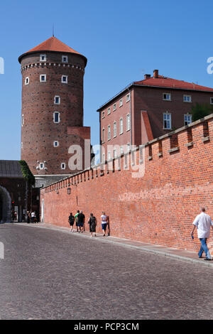 Château de Wawel à Cracovie, la vieille ville, de la petite Pologne, la Pologne, l'Europe Banque D'Images