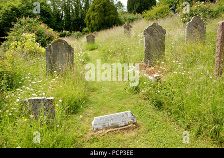 Boughton Monchelsea village, Kent, Angleterre. L'église Saint Pierre - chemin de cour couper à travers l'herbe longue Banque D'Images