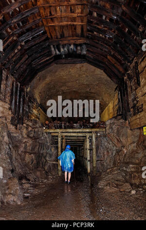 Walim (ancien) Wustewaltersdorf osowka underground tunnel nazi et camp de travail mondial de la seconde guerre mondiale, walim basse Silésie, Pologne, Europe Banque D'Images