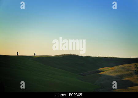 Collines de Toscane et de cyprès au loin. Banque D'Images